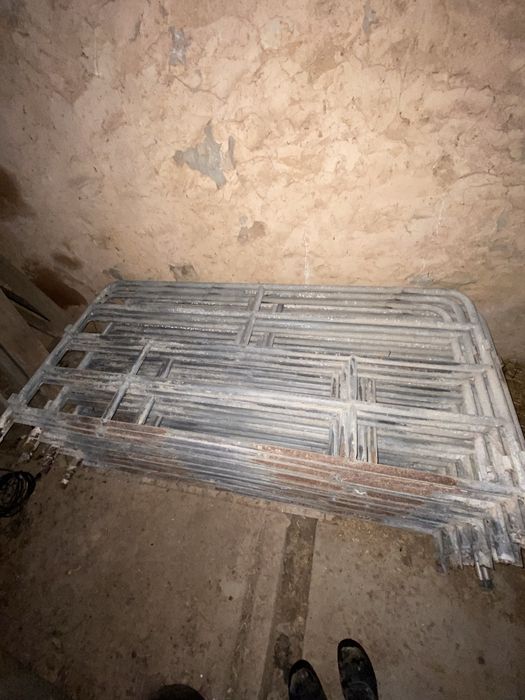 Gestações para porcas