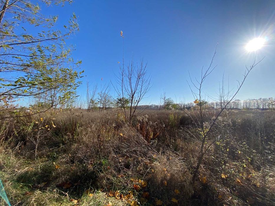 Продається земельна ділянка в Бохониках