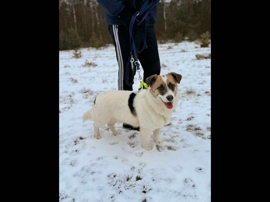 Młodziutki,malutki ,cudowny,tak długo czeka.