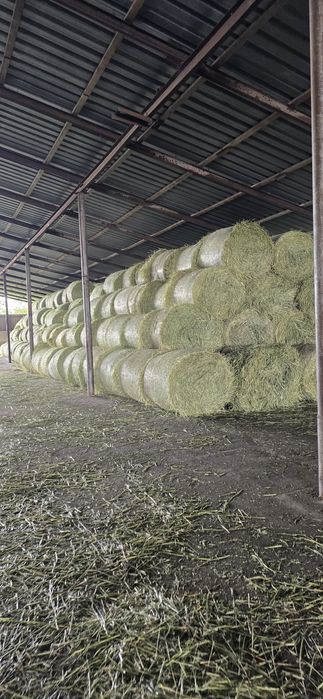 Продам Солому в тюках