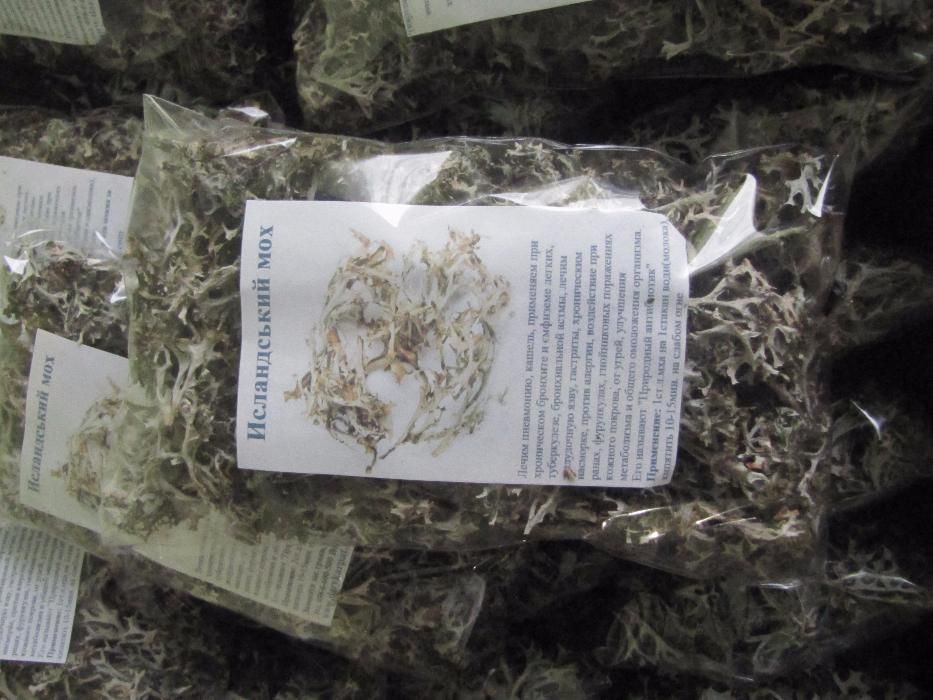 500грам ОПТ Ісландський мох Цетрарія ісландська ОПТ