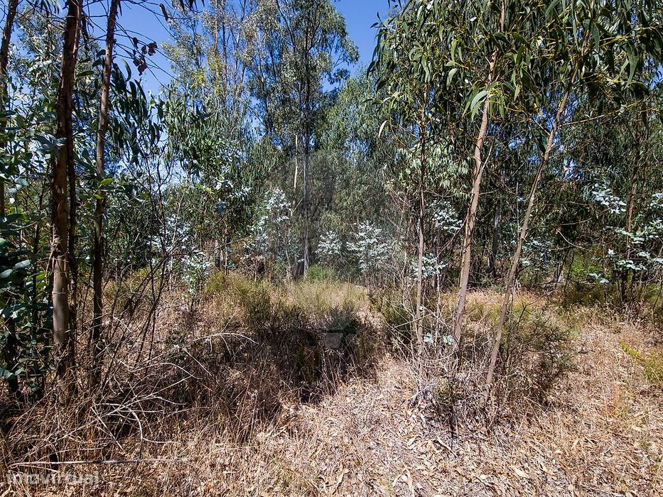 Terreno  para venda
