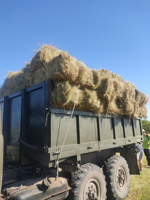 Продам сіно лугове в тюках 2025 і солому в тюках