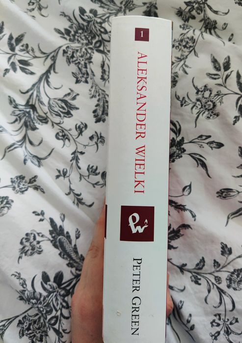 Aleksander Wielki biografia