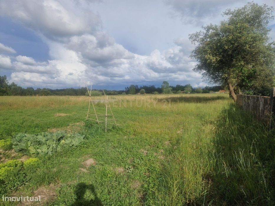 Terreno Urbano em Vagos - 3590m²
