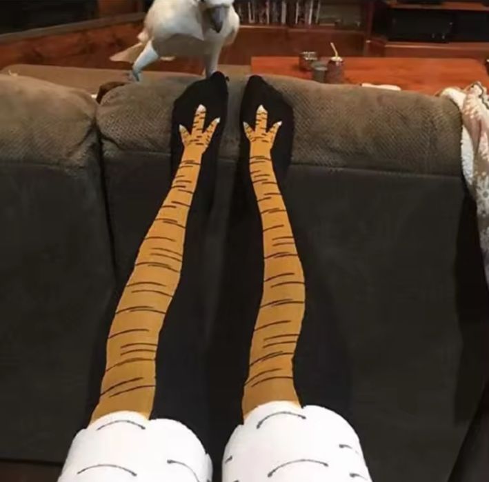 Длинные высокие гольфы носки куриные лапы лапки чулки носочки ножки