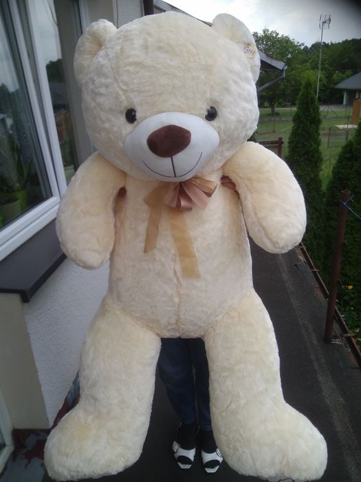 Nietrafiony Prezent - Duży misiek- pupil,maskotka,zabawka dla dzieci