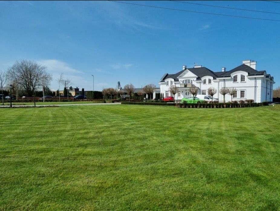 Wertykulacja trawnika