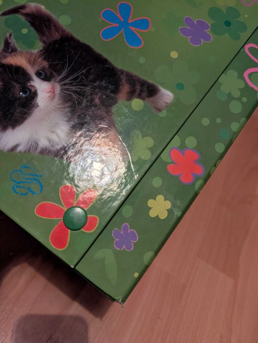 Teczka z rączką / Kuferek A4 zielona z kotkiem