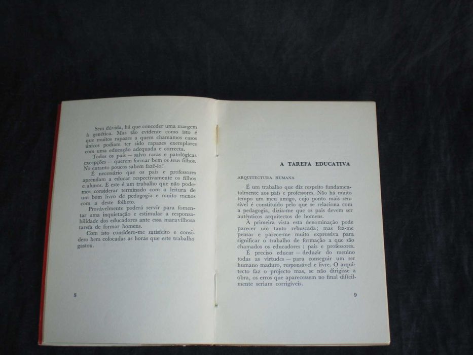 Livro Filhos Estudo e Profissão A. Najera G. CAstilho J. L. Garay