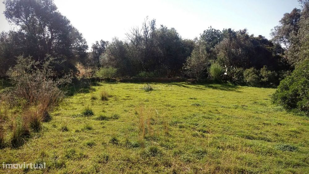 Terreno com Ruína em Moncarapacho