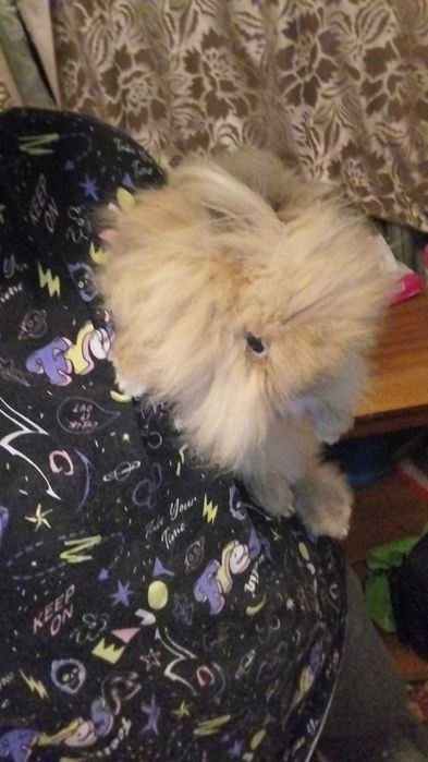Кролик пухнастий