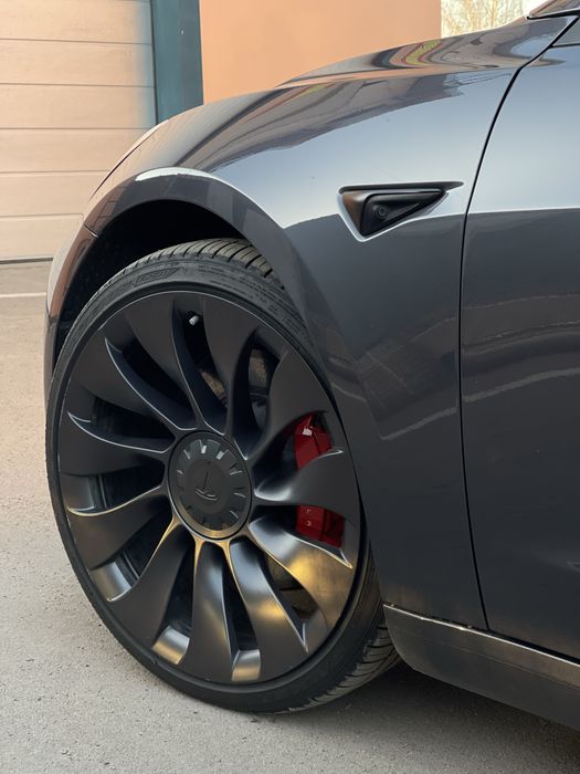Tesla model 3 Perfomance 2021/08 rest