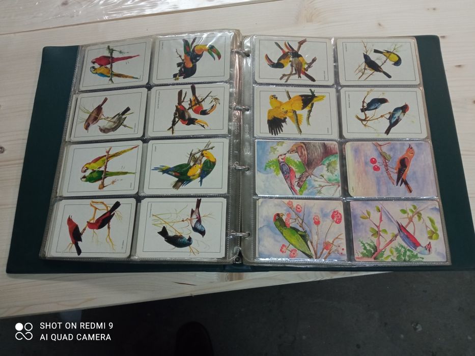 Coleção de calendários