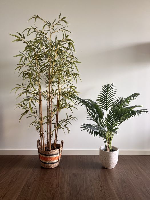 2 Plantas Decorativas (Bambu + Palmeira) em excelente estado