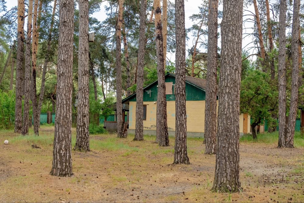 Продам діючу базу відпочинку