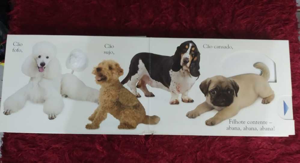 Livro Dogs sobre Raças de Cães com texturas / relevo