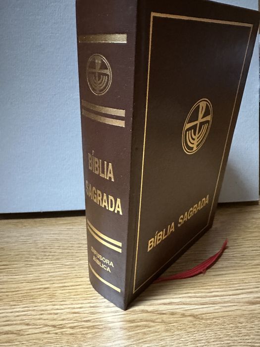 2 Bíblias Sagradas NOVAS