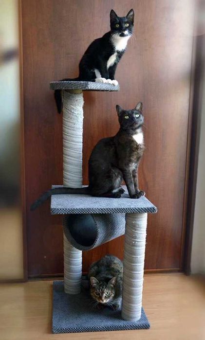 Nowoczesny Drapak dla Kota różne modele wiele kolorów polski producent