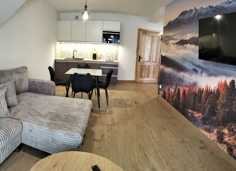 Zakopane wolne apartamenty od dzisiaj ,długi weekend ferie , wakacje
