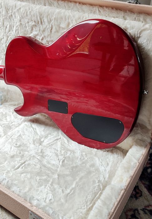 Washburn SBF-80 + Case