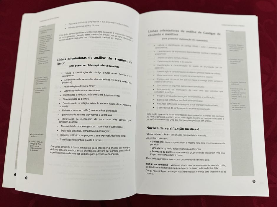 Técnicas de análise literária e construção de texto - Edições Sebenta ISBN 9727990118