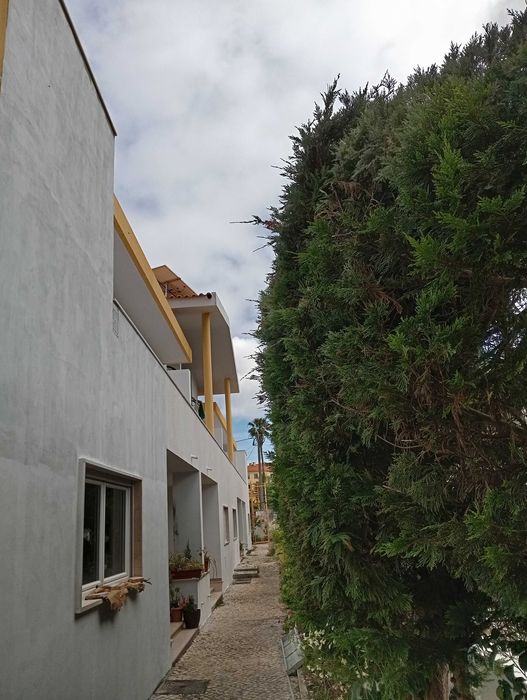 Faço pequenos trabalhos de construção pintura eletrecidade e canalização.