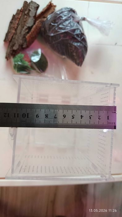 terarium dla pająka akrylowe z wyposażeniem