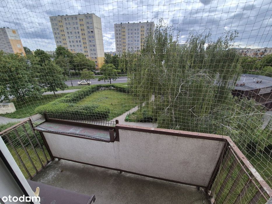 60 m² | 3 pokoje | balkon | piwnica | Rubinkowo II | ul. Dziewulskiego - Widok 4