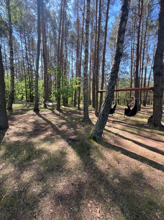 Domki Sielpia Kardamon