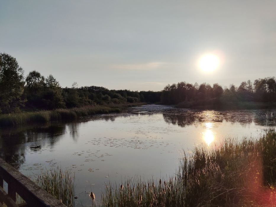 Działka budowlana 2700m/ Kawęczyn koło Maciejowic - Widok 5