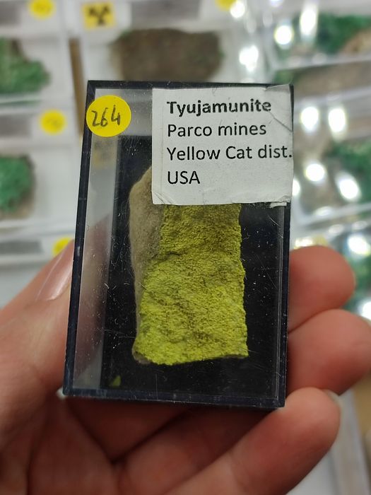 Minerał uranowy do kolekcji tyujamunit