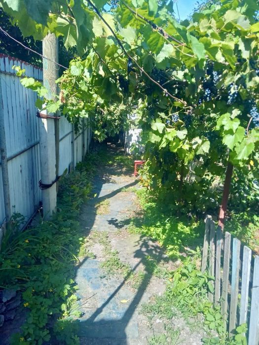 Продам дом Днепр