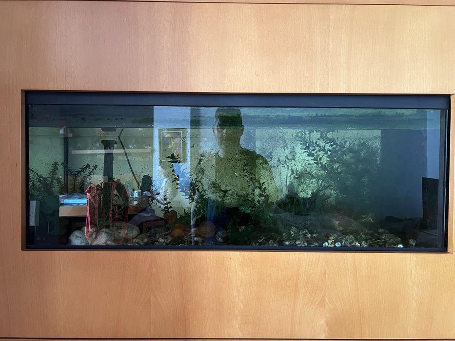 Aquario grande para Sala