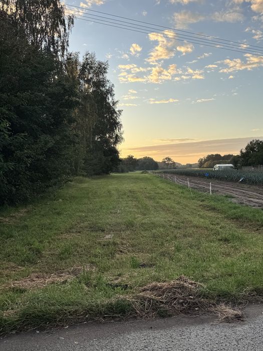 Dzialka rolna 0,59 ha Wilczkowice Dolne gm. Magnuszew - Widok 5