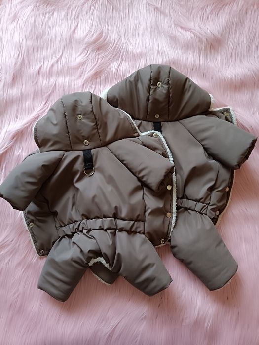 Одяг для собак та котів