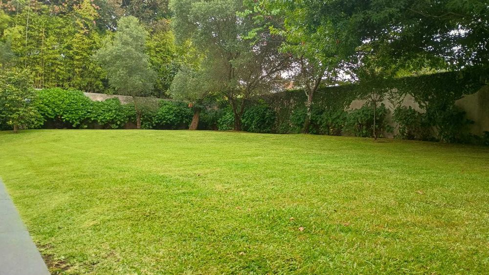 Jardineiro Em Porto/Gaia - Manutenção, Limpeza e Montagem de Jardins