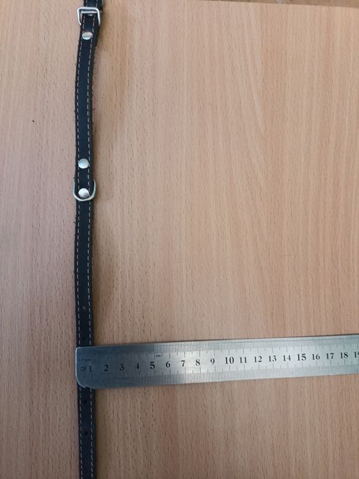 Ошийник для кота чи цуценяти