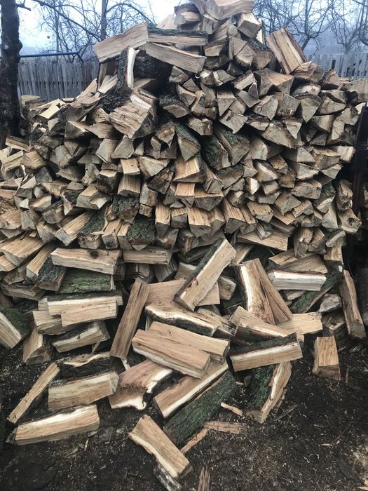 Продам дрова акація , дуб  . Також є інші породи