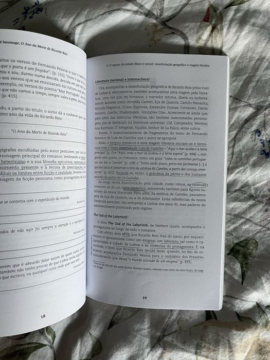 Resumo do Livro O Ano da Morte de Ricardo Reis