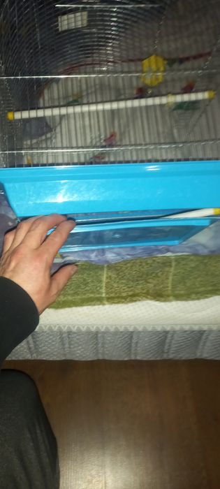 Клітка для папуги