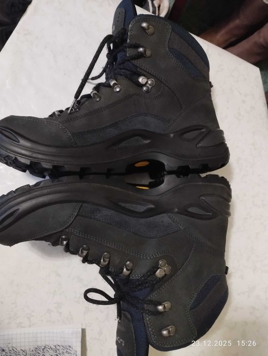 Черевики Lowa Renegade GTX Mid