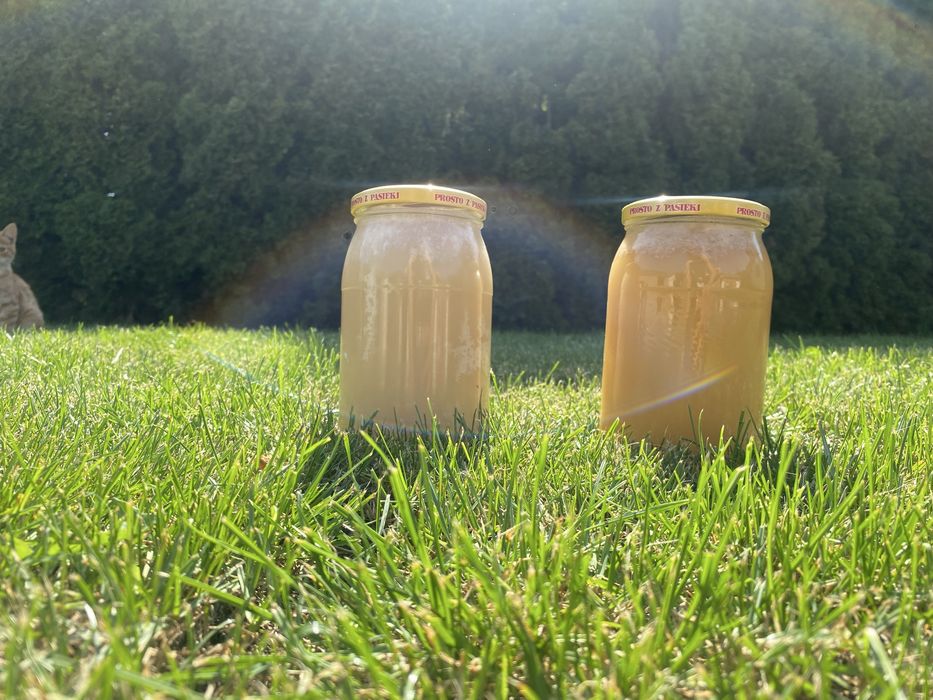 Naturalny miód z pasieki – gwarancja jakości