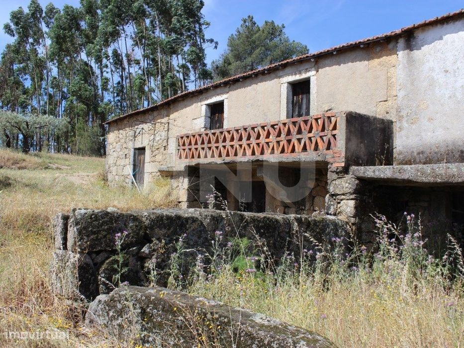 Quinta com 2,5 hectares — Orca, Castelo Branco