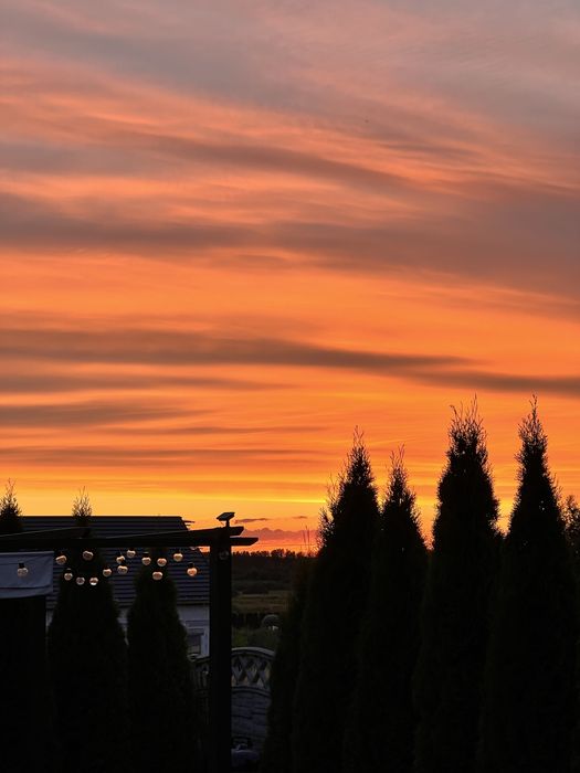 Wynajem pokoje, studio z anksem kuchennym Mosty k.Gdynii