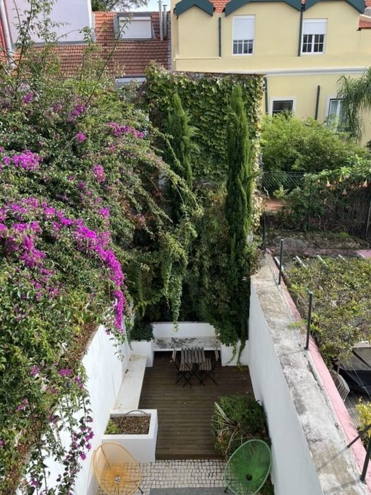 Limpeza e manutenção de jardins, piscinas e terrenos - melhor preço e qualidade