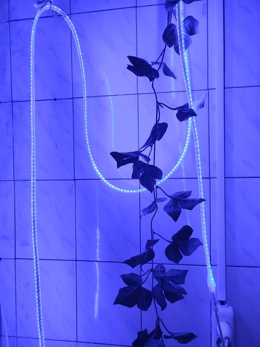 Синій неон гелевий, led стрічка