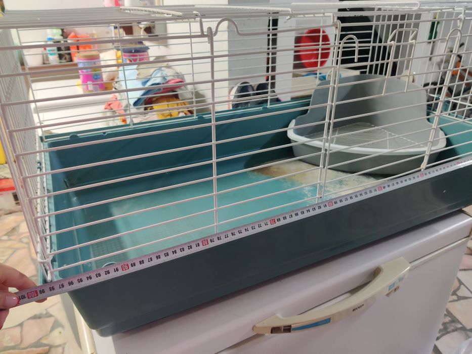 Gaiola grande roedores