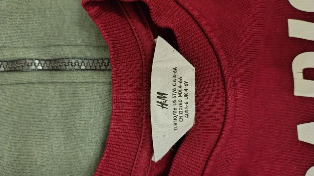 Bluzy chłopięce H&M, Champion, Fabryka bodziakow, Minoti 104-110
