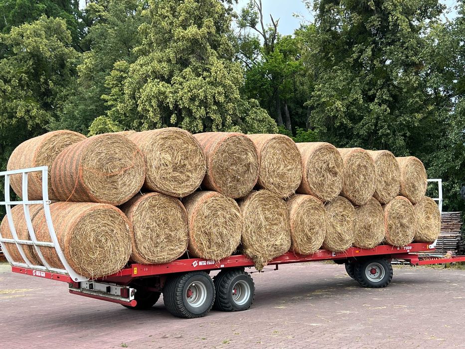 Siano pokos 2025 bela 120/120